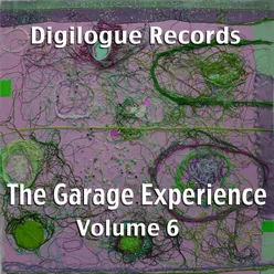 The Garage Experience, Vol. 6