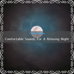 Night Sounds