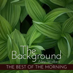 The Background - The Best of the Morning