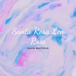 Santa Rosa Lea Rose