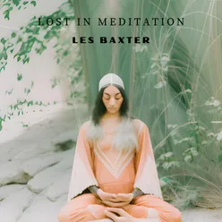 Lost In Meditation