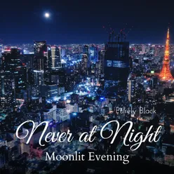 Never at Night - Moonlit Evening