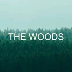 The Woods