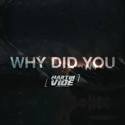 Why Did You