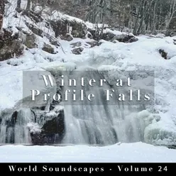 World Soundscapes, Vol. 24: Winter at Profile Falls