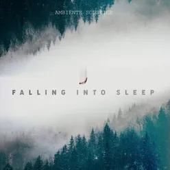 Falling Into Sleep