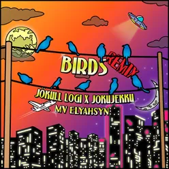 Birds (Remix)