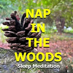 Nap in the Woods Sleep Meditation