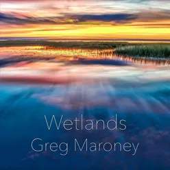 Wetlands