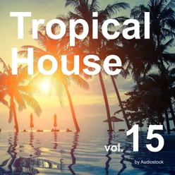 Energetic Tropical House Edm