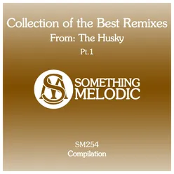 Collection of the Best Remixes From: The Husky, Pt. 1 (The Husky Remix)
