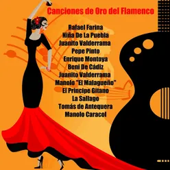 Canciones de Oro del Flamenco