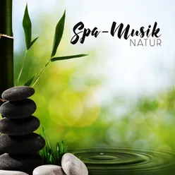 Spa-Musik (Natur. Beruhigende New-Age-Musik mit Naturgeräuschen für Spa und Wellness, Entgiften Sie Ihren Körper und entspannen Sie Ihren Geist)