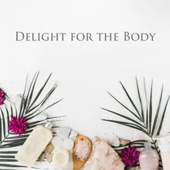 Delight for the Body (Soothing New Age Music for Spa Day, Wellness and Beauty)