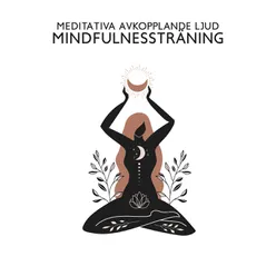 Meditativa Avkopplande Ljud (Mindfulnessträning, Chakra Rensning, Svensk Massage, Wellness Reiki, Djup Meditation)