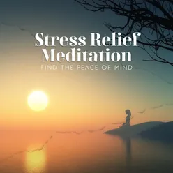 Stress Relief Meditation (Find the Peace of Mind)