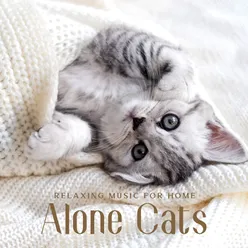 Cat Music While You're Away