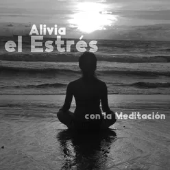 Alivia el Estrés con la Meditación (No Más Ansiedad, Encuentra la Paz Interior)