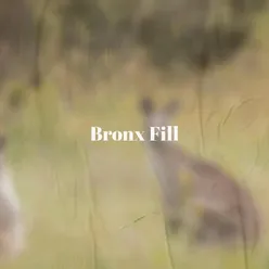 Bronx Fill