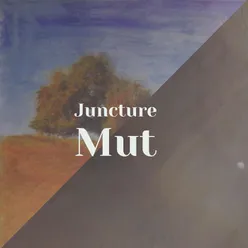 Juncture Mut