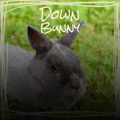 Down Bunny