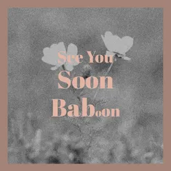 See You Soon Baboon