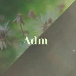 Adm