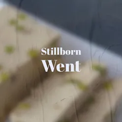 Stillborn Went