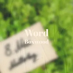 Word Boxwood