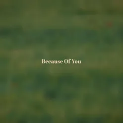 Because Of You