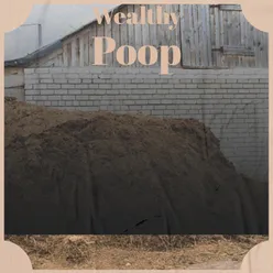 Wealthy Poop