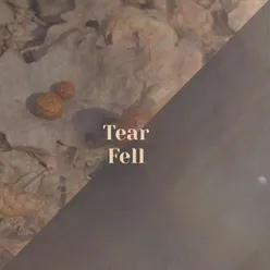 Tear Fell