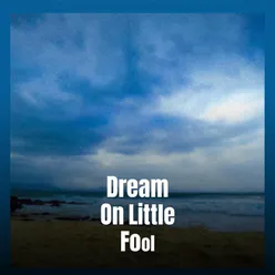 Dream On Little Fool