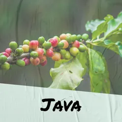 Java