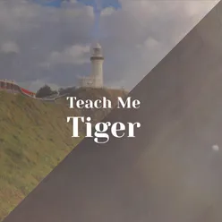 Teach Me Tiger