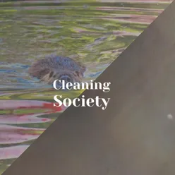 Cleaning Society