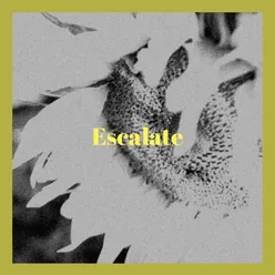 Escalate