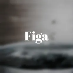 Figa