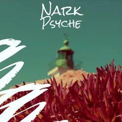 Nark Psyche