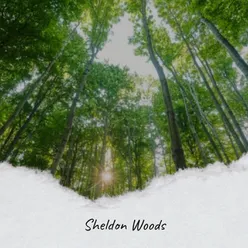 Sheldon Woods