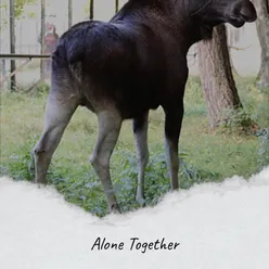 Alone Together