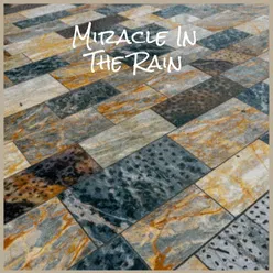 Miracle In The Rain