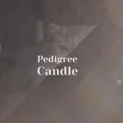 Pedigree Candle