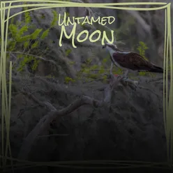 Untamed Moon