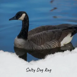 Salty Dog Rag