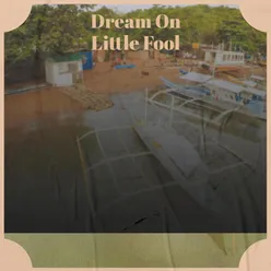 Dream On Little Fool