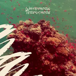 Whitethorn Terpsichore