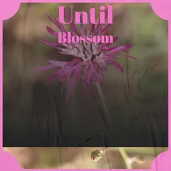 Until Blossom