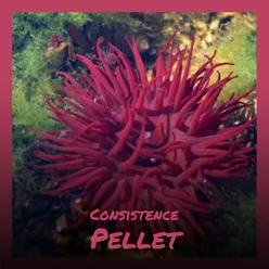 Consistence Pellet