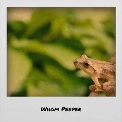 Whom Peeper